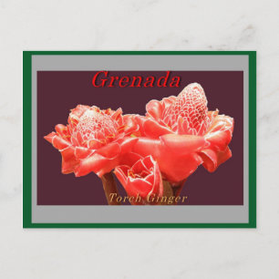 Carte Postale Torche