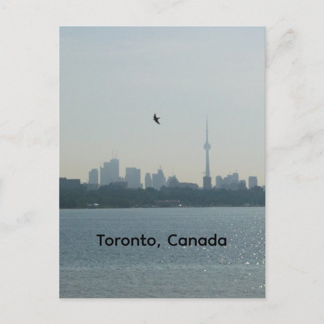 Carte Postale Toronto  (Devant)