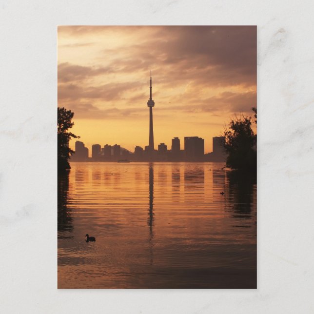 Carte Postale Toronto (Devant)