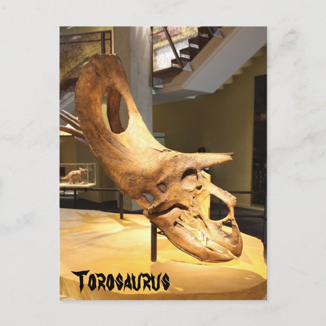 Carte Postale Torosaure (Devant)