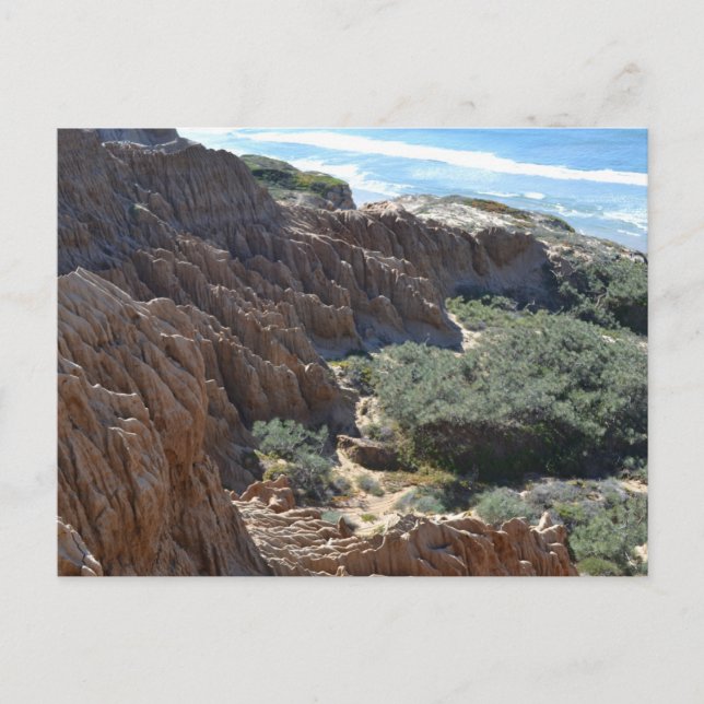 Carte Postale Torrey Pines Cliffs 1 (Devant)