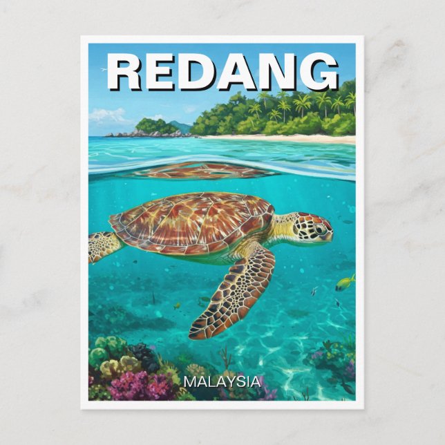 Carte Postale Tortue à Redang Malaysia (Devant)