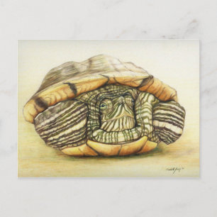 Carte postale "Tortue" Art Reproduction