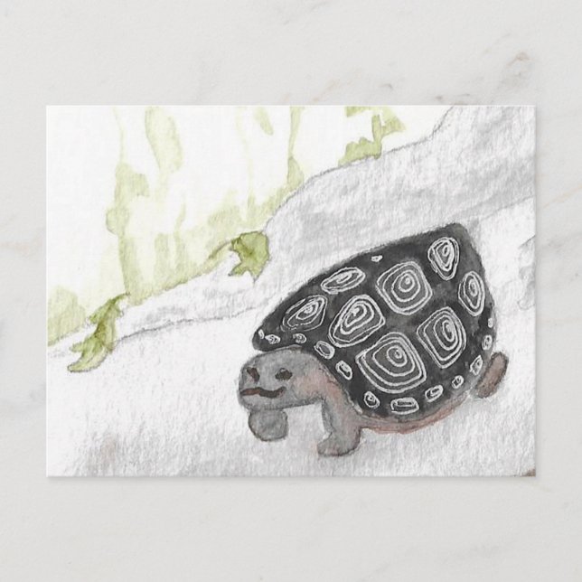 Carte Postale Tortue de l'aquarelle (Devant)