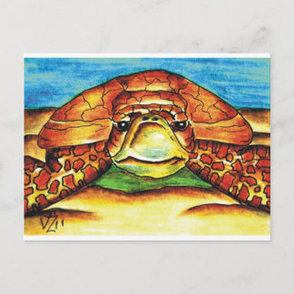 Carte Postale Tortue de mer