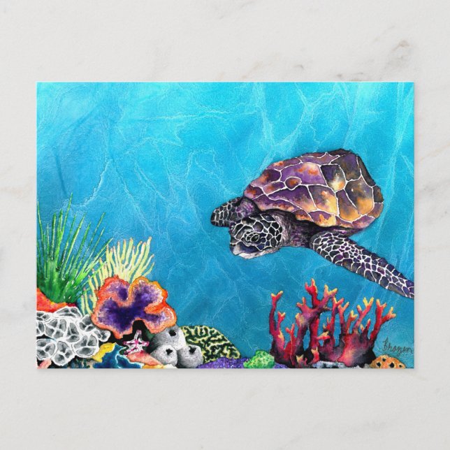 Carte Postale Tortue de mer (Devant)