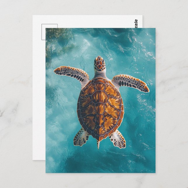 Carte Postale Tortue de mer en Océan Turquoise (Devant / Derrière)