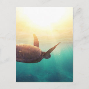 Carte Postale Tortue de mer - Photographie de la nature sous-mar