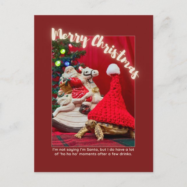 Carte Postale Tortue de Noël coquine et mignonne avec Père Noël (Devant)
