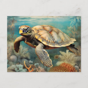 Carte Postale Tortue Des Rives Tranquilles