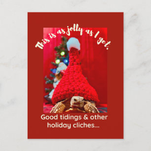 Carte Postale Tortue grumeuse sulcata en rouge casquette