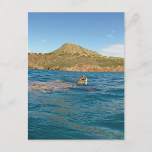 Carte Postale Tortue hawaïenne
