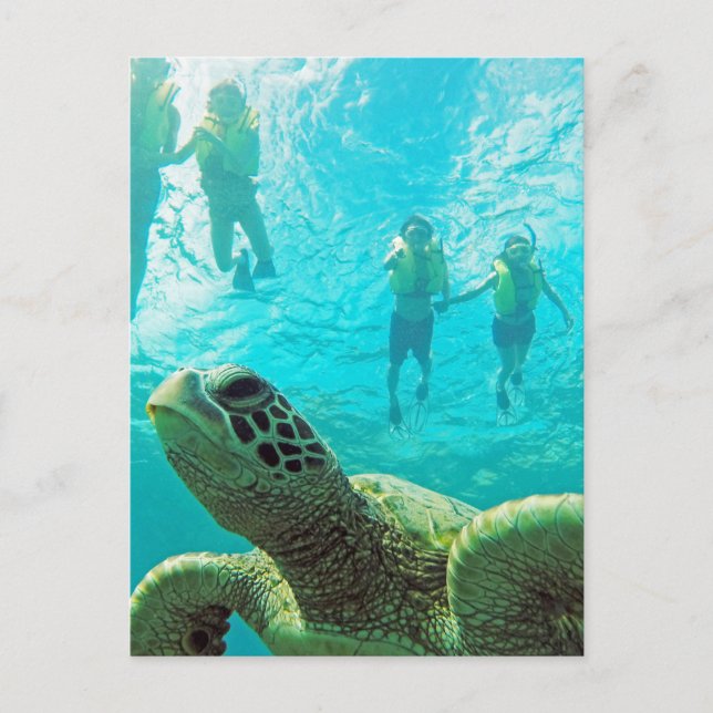 Carte Postale Tortue hawaiienne et tuba (Devant)