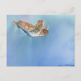 Carte Postale tortue marine