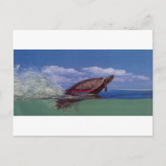 Carte Postale tortue rapide