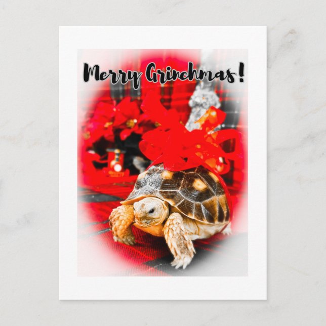 Carte Postale Tortue sulcata bébé Joyeuse Grinchmas avec arc rou (Devant)