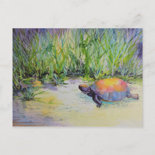 Carte Postale Tortue sur la plage
