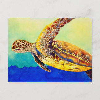 Carte Postale tortue verte