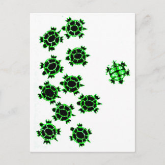 Carte Postale Tortues