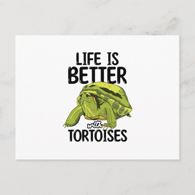 Carte Postale Tortues (Devant)
