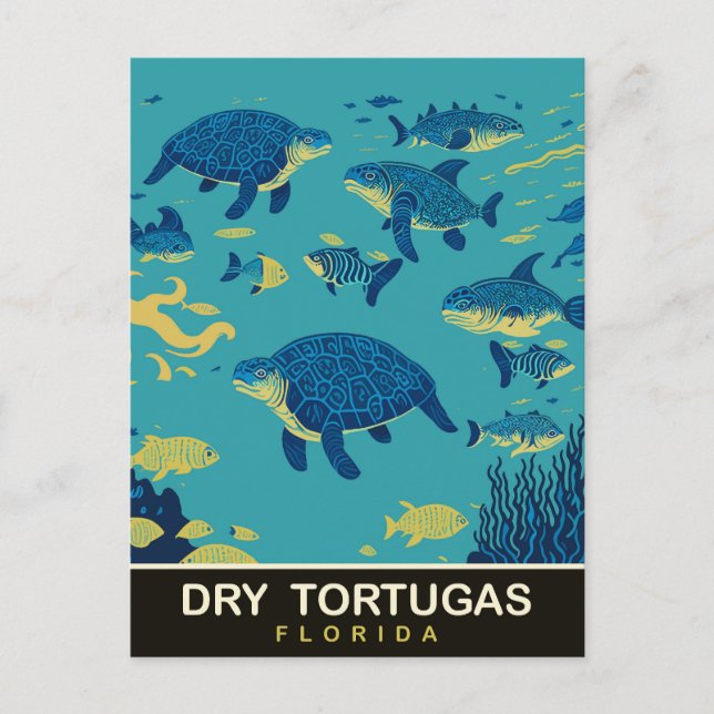 Carte Postale Tortues de mer à Dry Tortugas FL, Voyage (Devant)