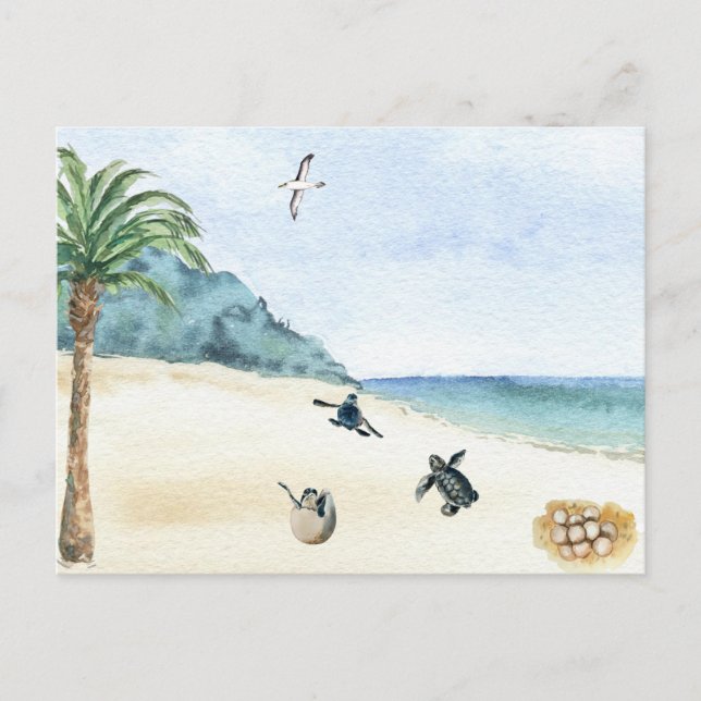 Carte Postale Tortues de mer Aquarelle d'éclosion pour bébés (Devant)