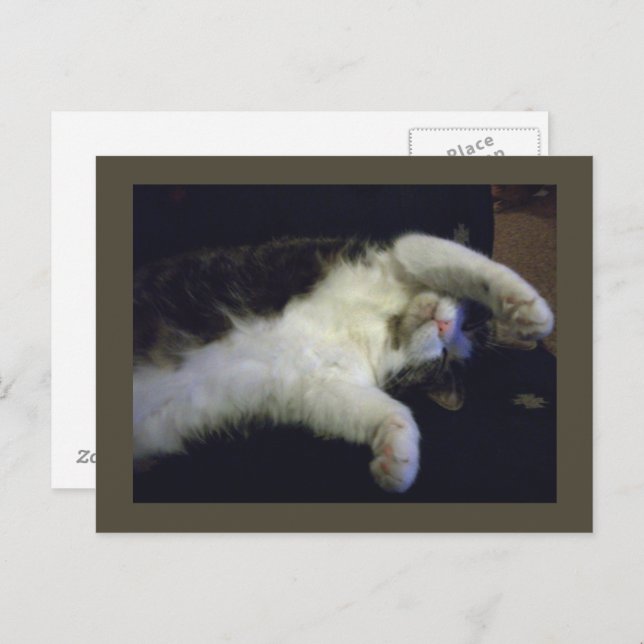 Carte postale Totalement Chillin' (Devant / Derrière)