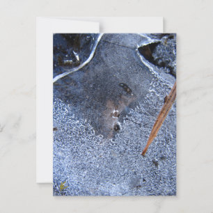 Carte Postale Totem corbeau, Corvid d'oiseaux noirs