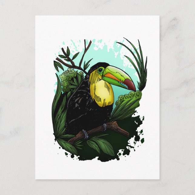 Carte Postale Toucan (Devant)
