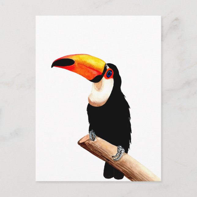 Carte Postale Toucan (Devant)