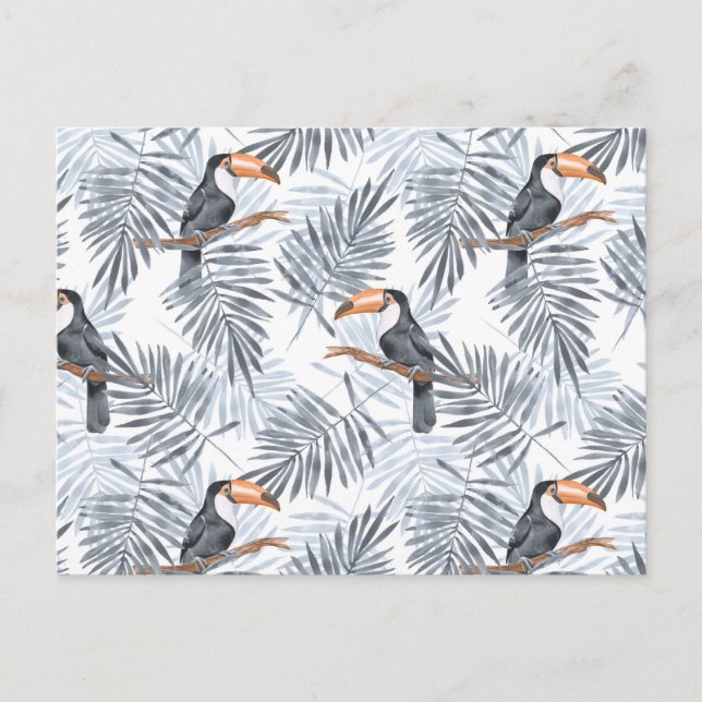 Carte Postale Toucan gris (Devant)