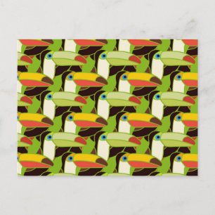 Carte Postale Toucans colorés 2