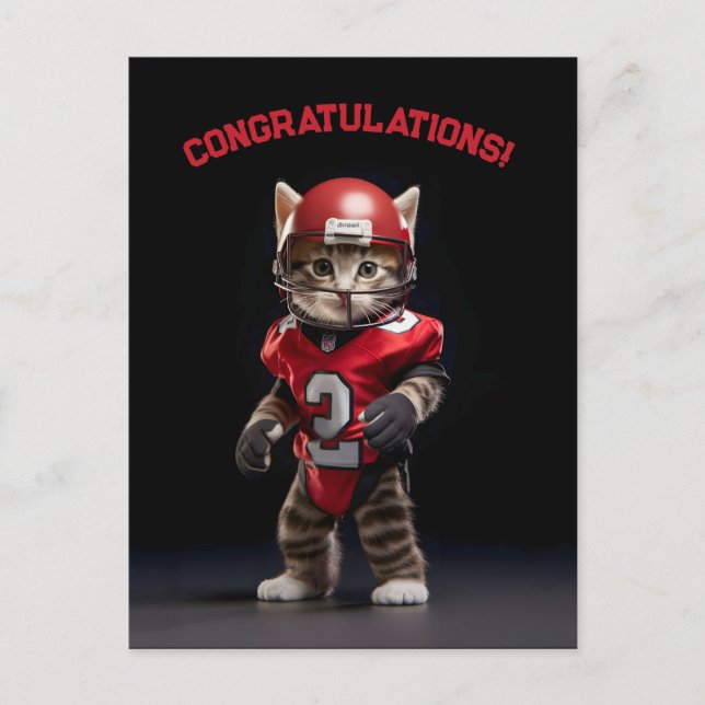 Carte Postale Touchdown Chatounet (Devant)