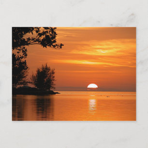 Carte Postale Touche West Florida Sunset