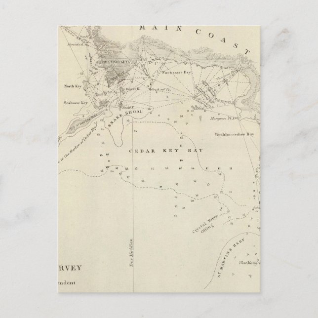 Carte Postale Touches de cèdre, Fla (Devant)