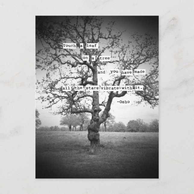 Carte Postale Touchez une feuille... (Devant)