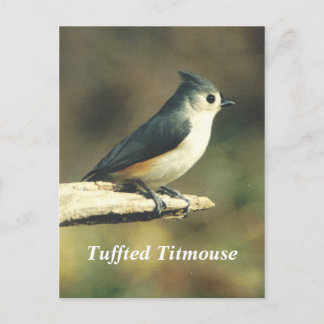 Carte Postale Touffé