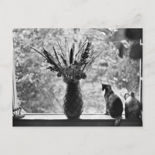 Carte Postale Toujours la vie avec chat