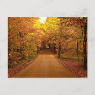 Carte postale Tour Couleur du lecteur Automne
