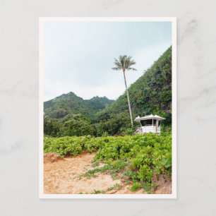 Carte Postale Tour de sauvetage de Tunnels Beach Tropical Kauai