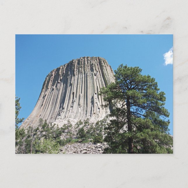 Carte Postale Tour Devils Wyoming (Devant)