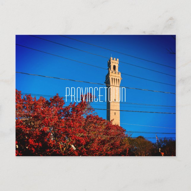 Carte Postale Tour du Monument du Pèlerin (Devant)