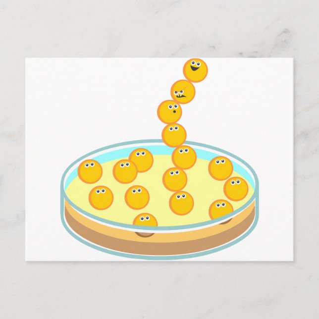 Carte Postale Tour Petri Disc (Devant)