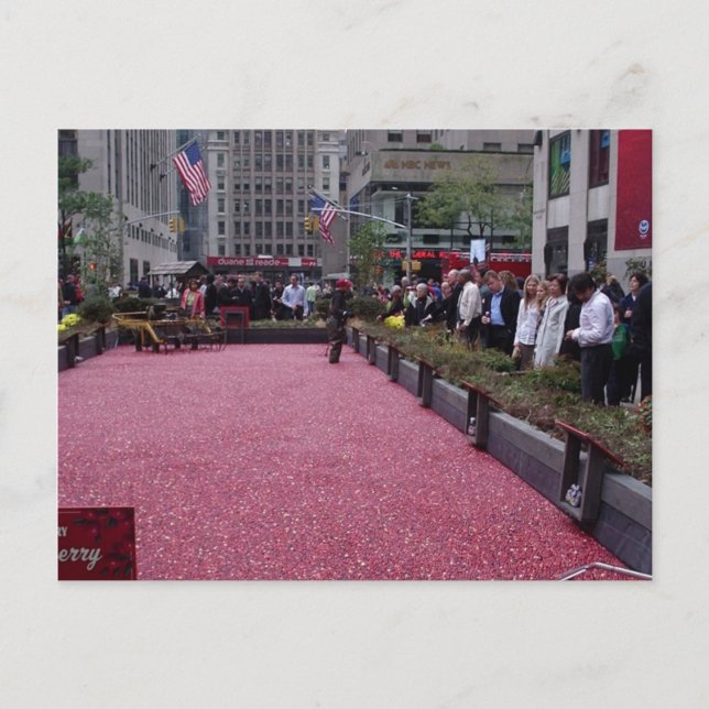 Carte Postale tourbière au milieu de NYC (Devant)