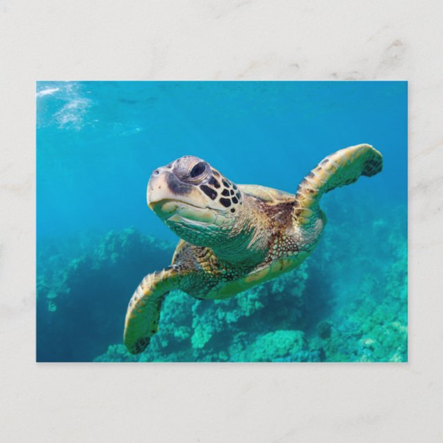 Carte Postale Tourbillon de Green Sea |hawaï (Devant)