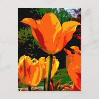 Carte Postale Tournelle orange