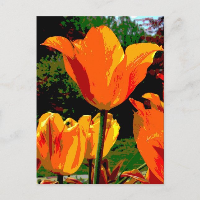 Carte Postale Tournelle orange (Devant)