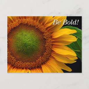 Carte Postale Tournesol