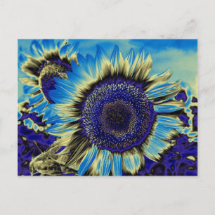 Carte Postale Tournesol bleu