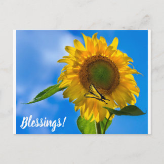 Carte Postale Tournesol et papillon